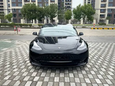 2020 Tesla Model 3 Standard Range Rear-Wheel Drive Upgrade, фото 2, лот 11073502