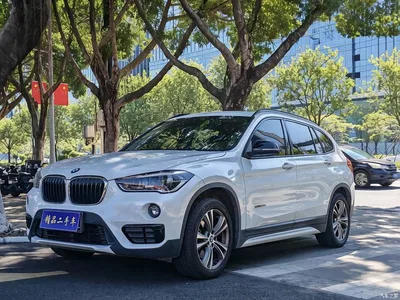 2018 BMW X1 xDrive20Li Premium Model, фото 1, лот 11582745