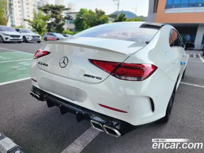 2019 Mercedes-Benz CLS-Class CLS300d AMG Line, фото 4, лот 10179573