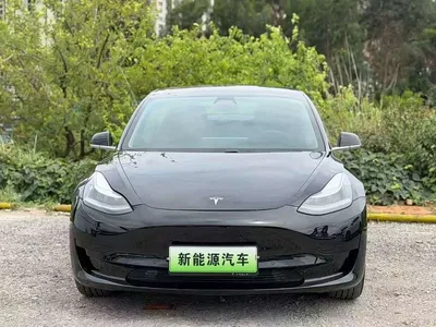 2020 Tesla Model 3 Standard Range Rear-Wheel Drive Upgrade, фото 2, лот 10355574