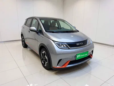 2021 BYD Dolphin Model 405km Fashion Edition, фото 3, лот 11468996