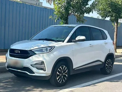 2020 Nezha Auto Nezha N01 430e, фото 2, лот 11153955