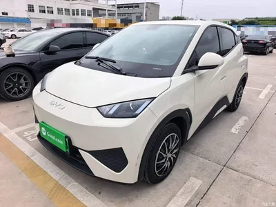 2025 BYD Seagull Smart Drive Edition 305km Vitality Version, фото 2, лот 10829990