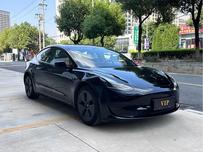 2021 Tesla Model 3 Standard Range Rear-Wheel Drive Upgrade, фото 3, лот 10384140