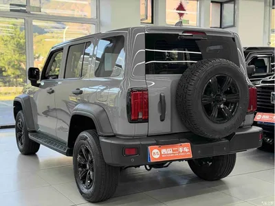 2021 Tank 300 Off-road Edition 2.0T Explorer, фото 4, лот 10391543