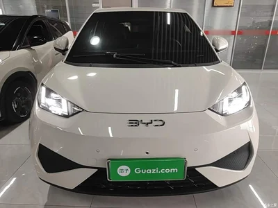 2025 BYD Seagull Smart Drive Edition 305km Freedom Version, фото 3, лот 10262892