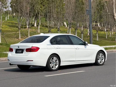 2016 BMW 3 Series 320Li Progressive, фото 4, лот 10457625