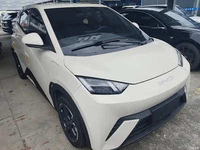 2023 BYD Seagull Freedom Edition, фото 4, лот 10262877