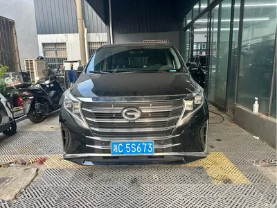 2023 GAC Trumpchi Trumpchi M8 Leading Series 390T Ultimate Edition, фото 2, лот 10482431