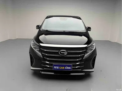 2023 GAC Trumpchi Trumpchi M8 Leading Series 390T Ultimate Edition, фото 2, лот 10414219