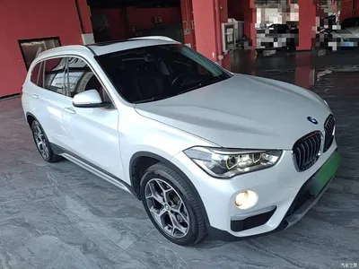 2019 BMW X1 xDrive20Li Premium Model, фото 4, лот 10467957