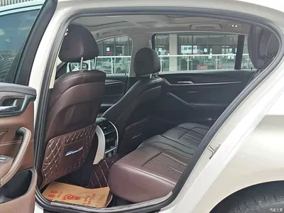 2018 BMW 5 Series Facelift 530Li Leading Luxury Package, фото 3, лот 10482647