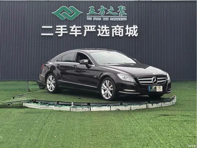 2012 Mercedes-Benz CLS 300 CGI, фото 3, лот 11206652