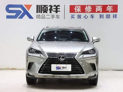 2020 Lexus NX 200 FWD Sharp Edition China VI, фото 2, лот 10311762