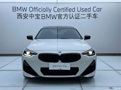 2025 BMW 2 Series (Import) 225i M Sport Shadowline Package, фото 2, лот 10471232