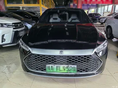 2023 BYD Qin PLUS Champion Edition DM-i 55KM Leading, фото 2, лот 10363671