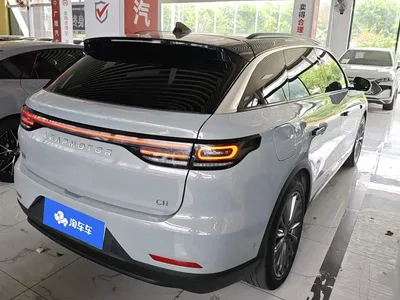 2024 Leapmotor C11 Pure Electric 580 Premium Edition, фото 3, лот 10316801