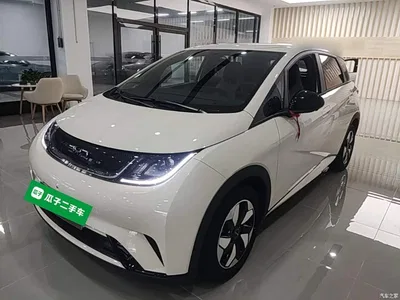 2025 BYD Dolphin 420km Freedom Edition, фото 2, лот 10259391