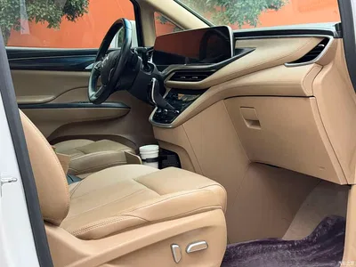 2020 Buick GL8 Model ES Landglory 653T Premium, фото 4, лот 10765898