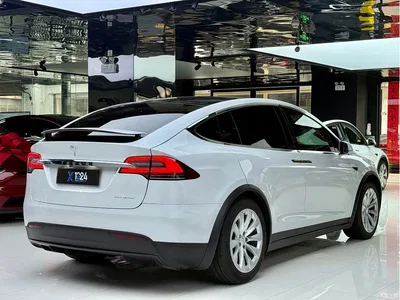 2019 Tesla Model X Long Range Version, фото 4, лот 10355568