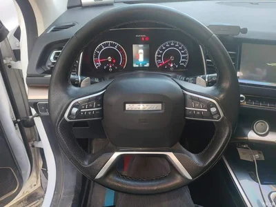 2020 Haval H6 2.0GDIT Automatic Platinum Champion Edition, фото 3, лот 10286761