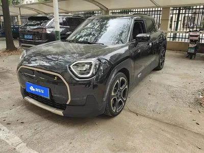 2024 MINI Electric MINI ACEMAN Model SE Artist, фото 1, лот 10331070