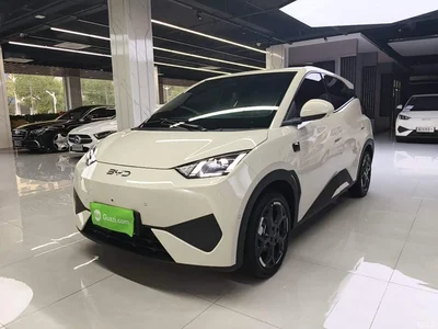 2025 BYD Seagull Smart Drive Edition 305km Freedom Version, фото 2, лот 10262871