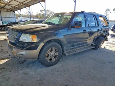 2004 FORD EXPEDITION EDDIE BAUER, фото 1, лот 10985180