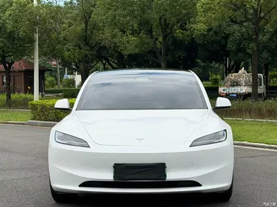 2023 Tesla Model 3 Rear-Wheel Drive, фото 2, лот 10455215