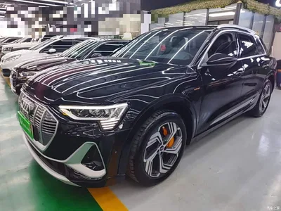 2021 Audi e-tron 50 quattro Exclusive Selection, фото 2, лот 10473640