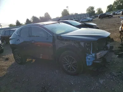 2024 LEXUS NX 350 PREMIUM, фото 4, лот 10846648
