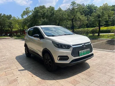 2019 BYD Yuan New Energy EV535 Smart Connected Trend Leader Type, фото 3, лот 10397034