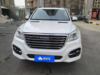 2017 Haval H9 2.0T Petrol 4WD Premium 5-seater, фото 2, лот 10415293