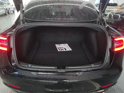 2022 Tesla Model 3 Model Rear-Wheel Drive Version, фото 4, лот 11137263