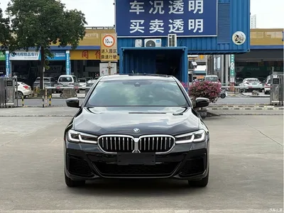 2023 BMW 5 Series 530Li Leading M Sport Package, фото 2, лот 10667051
