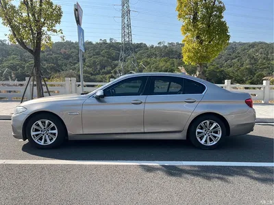 2014 BMW 5 Series (Import) 520i Classic, фото 4, лот 10474270