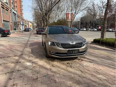 2018 Škoda Octavia TSI230 DSG Luxury Edition, фото 2, лот 10348641