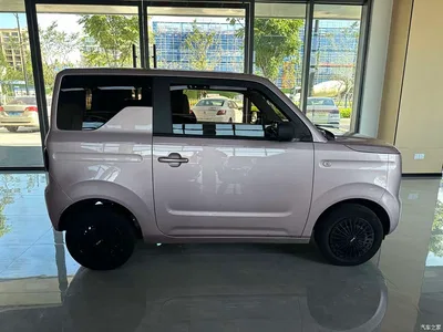 2024 Geely Galaxy Panda mini 200km Endurance Bear, фото 3, лот 10428852