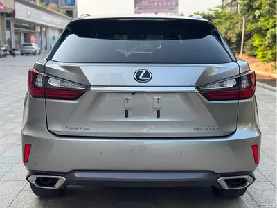 2020 Lexus RX 300 4WD Elegance Edition China VI, фото 4, лот 10900476