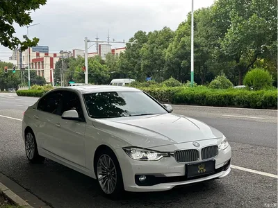 2019 BMW 3 Series 320Li Fashion Type, фото 3, лот 10812895