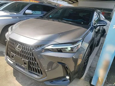 2024 Lexus NX 350h FWD Joy Creation Edition, фото 2, лот 10440123