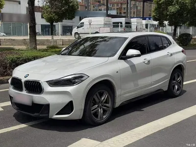 2021 BMW X2 sDrive25i Leading M Sport Package, фото 1, лот 10475588