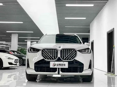 2025 BMW X3 xDrive30L Premium M Sport Package, фото 2, лот 10237745