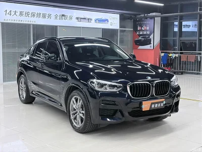 2021 BMW X4 xDrive 25i M Sport Package, фото 3, лот 10304832