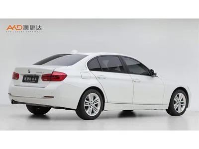 2016 BMW 3 Series 320Li Progressive, фото 3, лот 10889474