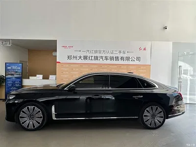 2025 Hongqi H9 2.0T 2WD Qixiang Luxury Business Edition 5-seater, фото 4, лот 10286868