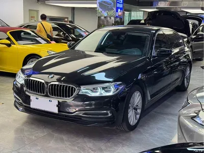 2019 BMW 5 Series 530Li Premium Luxury Package, фото 1, лот 10694106
