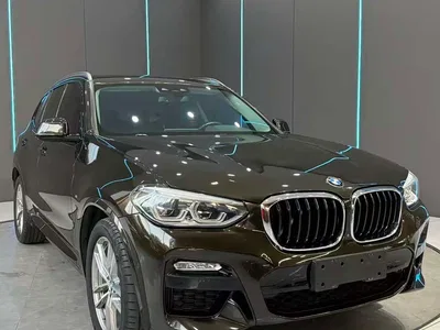 2018 BMW X3 xDrive30i Leading M Sport Package China V, фото 3, лот 11096215