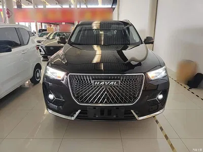 2021 Haval H6 1.5GDIT Automatic Champion Edition, фото 3, лот 10283971