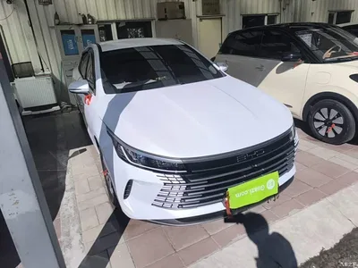 2024 BYD Destroyer 05 Glory Edition DM-i 55KM Luxury, фото 4, лот 11395626